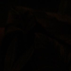 Meet your Posher, Yvette